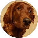 Bethany Ware profile picture